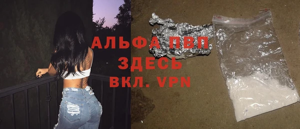 эйфоретик Белокуриха