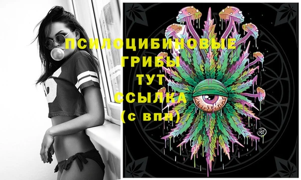 спайс Беломорск