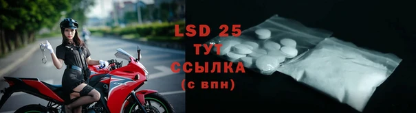 спайс Вуктыл