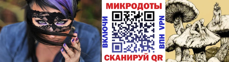 купить наркоту Демидов Псилоцибиновые грибы Psilocybe