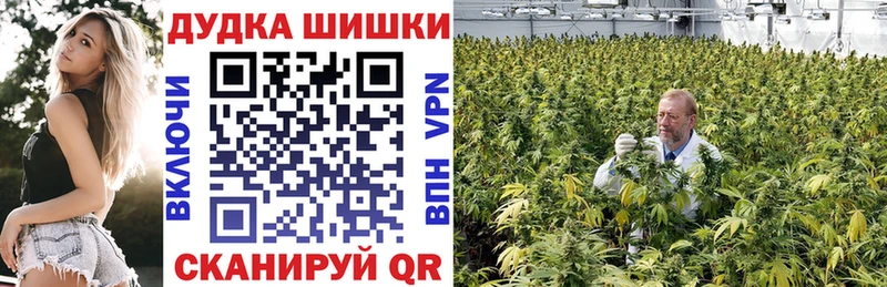 Марихуана SATIVA & INDICA  хочу   Демидов 
